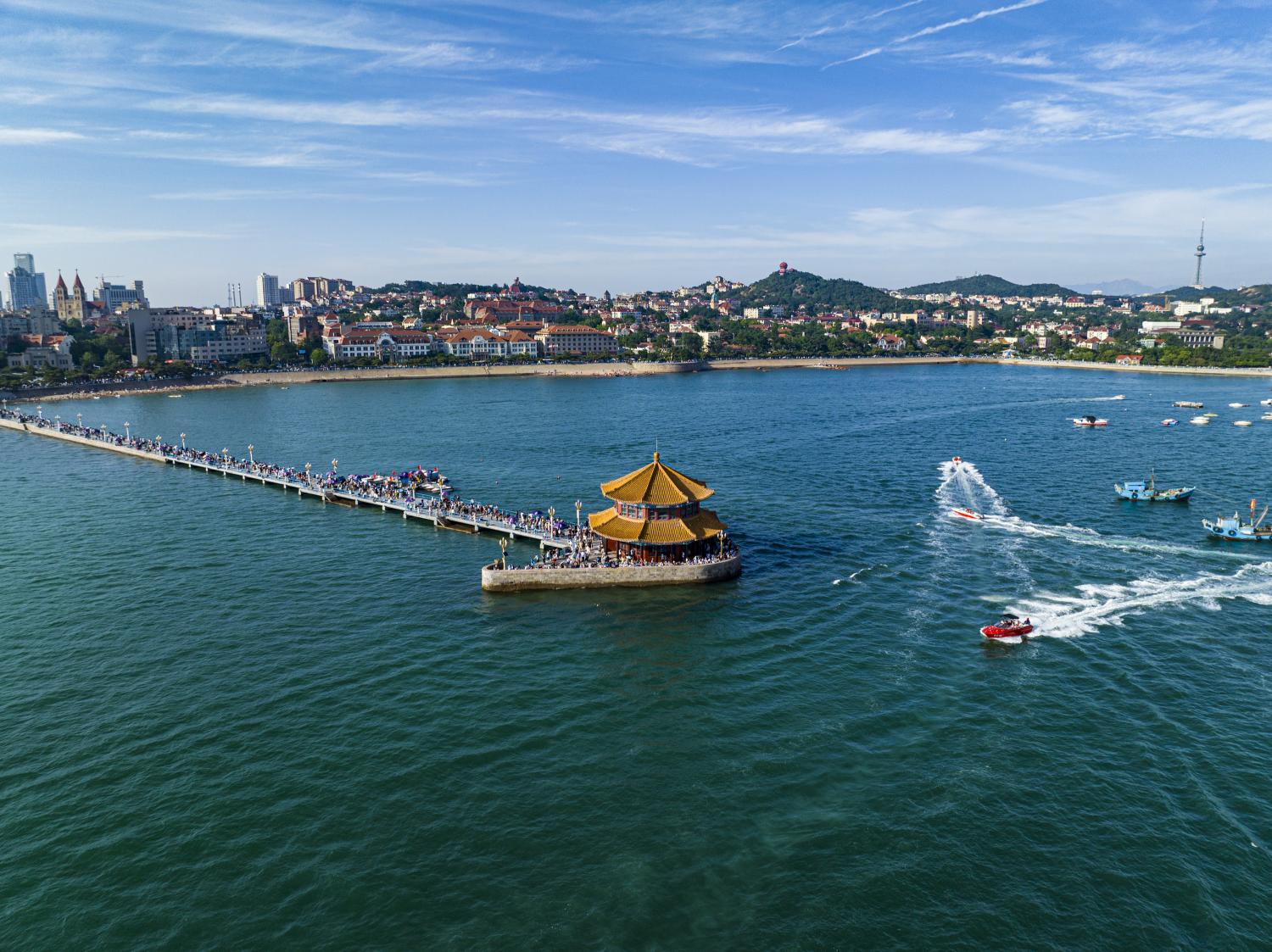 活力山东，山海交融的壮丽画卷🌿🌊